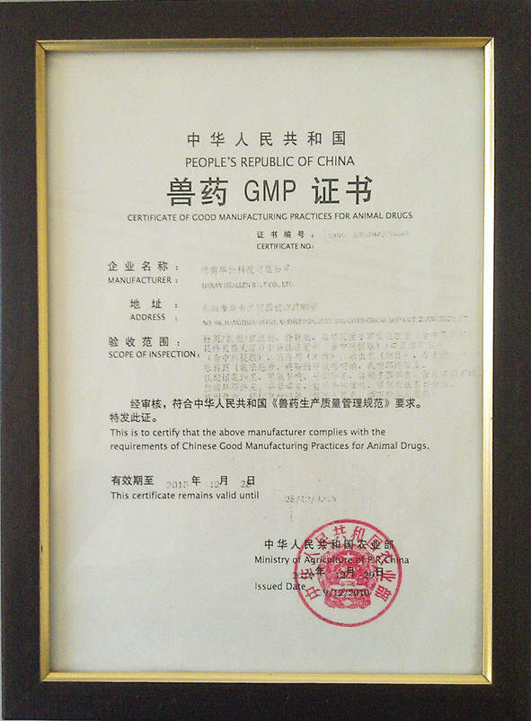 GMP证书