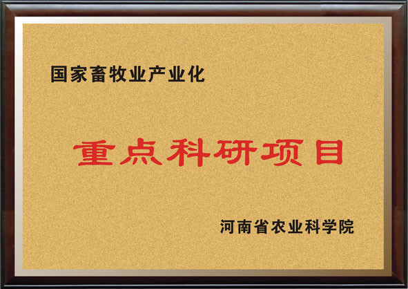 重点科研项目